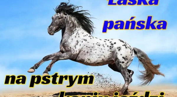 Łaska pańska na pstrym koniu jeździ: Jak nie dać się zaskoczyć?