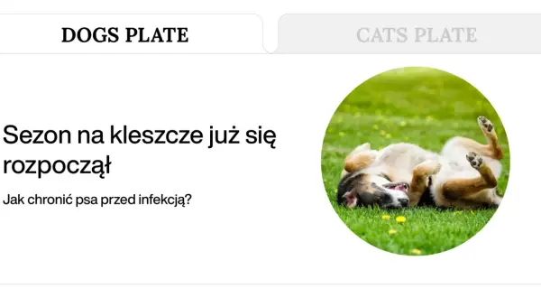 Szczęśliwy pies na trawie, który pokazuje, czego nie lubią kleszcze. Sezon na kleszcze już się rozpoczął, jak chronić psa przed infekcją?