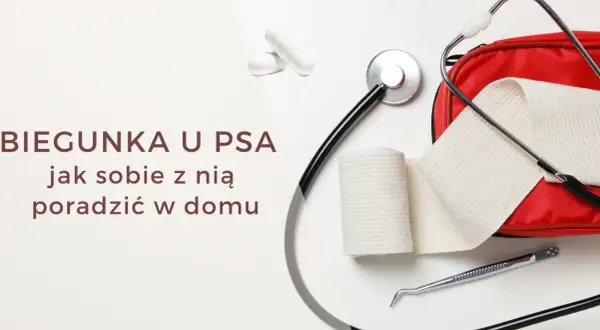 Biegunka u psa? Zestaw pierwszej pomocy z bandażem i stetoskopem, a także kapsułki, które mogą przypominać smecta dla psa.