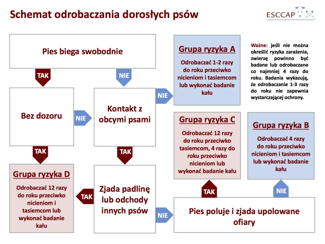 Schemat odrobaczania psów: jak często odrobaczać psa zależy od jego stylu życia. Pies wolno żyjący, mający kontakt z innymi psami lub zjadający padlinę, wymaga częstszego odrobaczania.