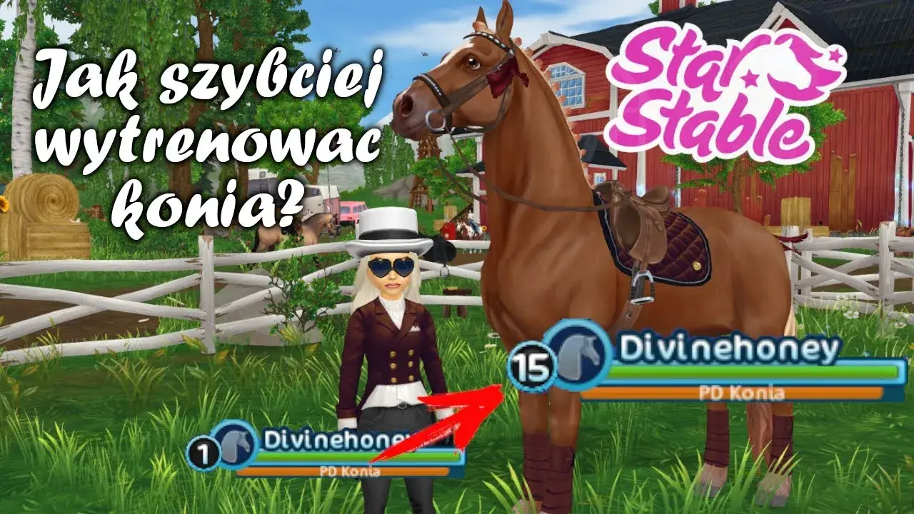 Jak prowadzić konia w SSO? Pełny poradnik i triki!