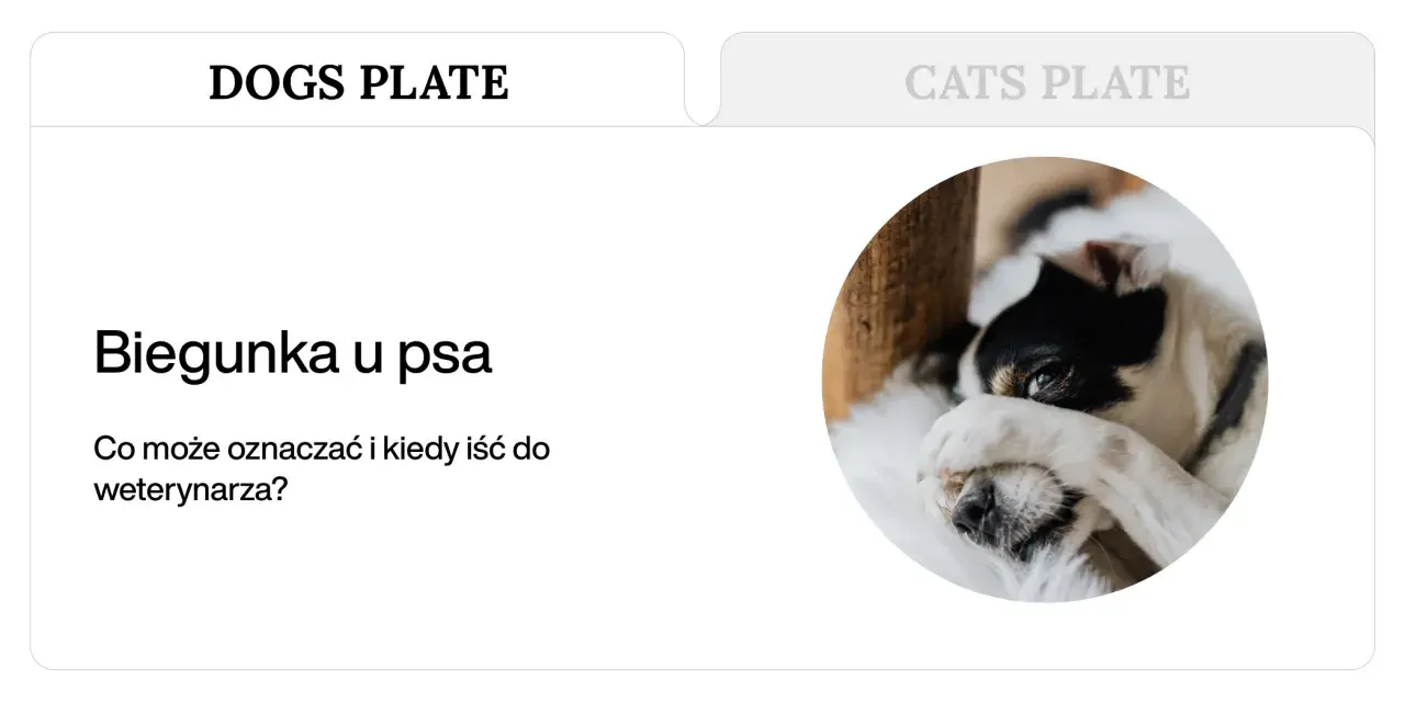Chory piesek z zasłoniętymi oczami. Artykuł o biegunce u psa i kiedy należy udać się do weterynarza.