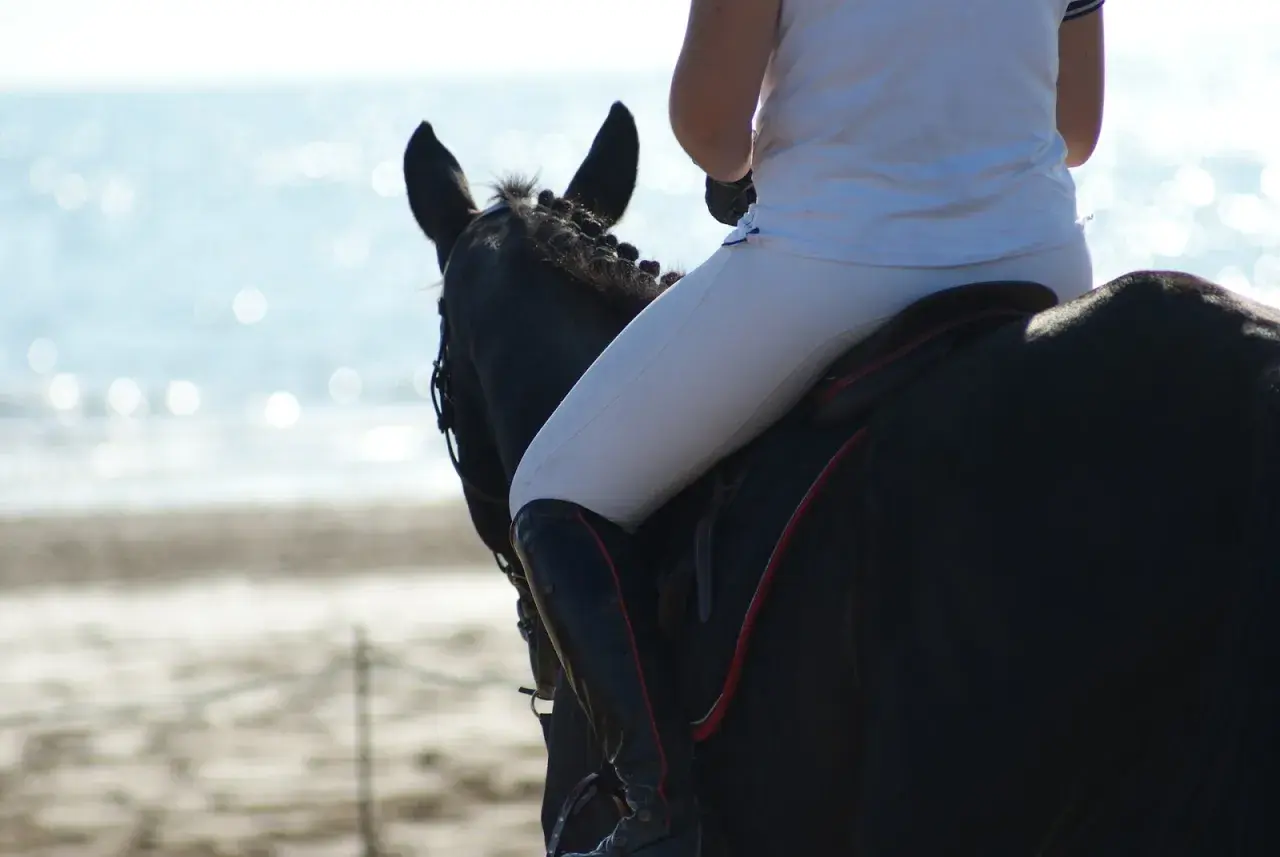 Jeździec w białych bryczesach i czarnych butach na czarnym koniu, z grzywą zaplecioną w warkocz. Słońce odbija się od wody w tle.