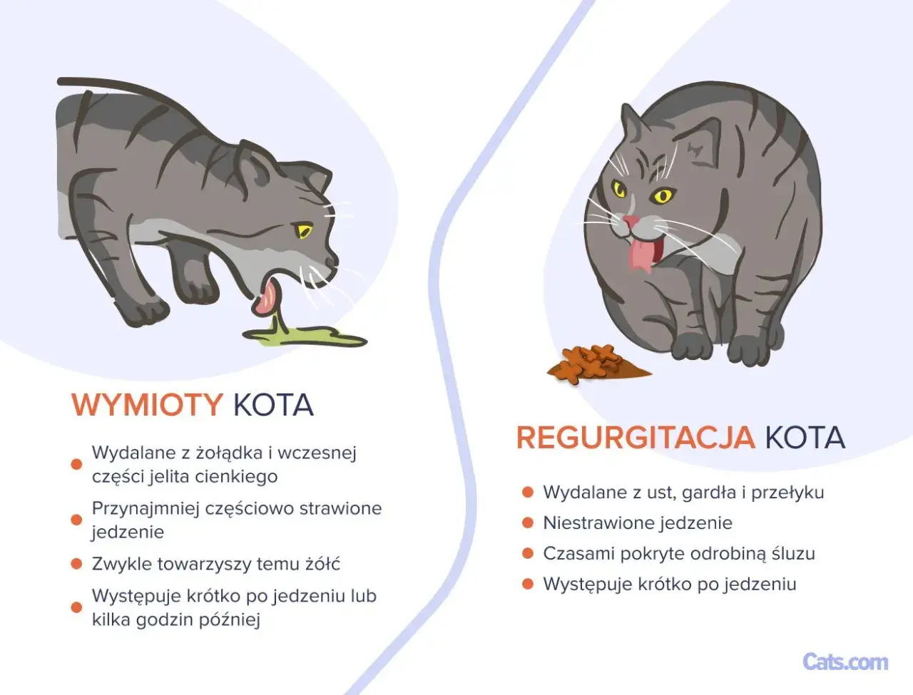 Ilustracja pokazuje dwa koty. Jeden kot wymiotuje, z pyska wydobywa się zielona wydzielina. Drugi kot, z pełnym pyszczkiem, ma przed sobą kupkę jedzenia.