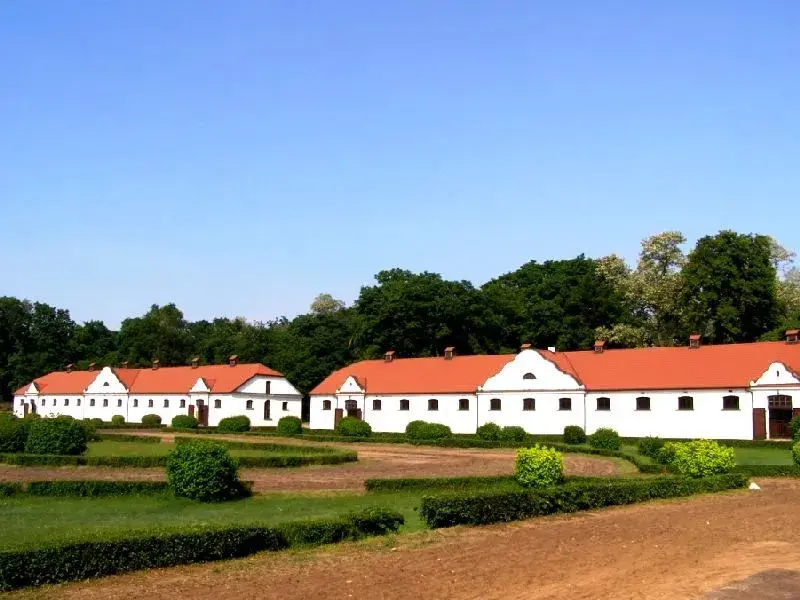Stadnina Koni w Łącku: Historia, atrakcje, oferta. Czy warto?