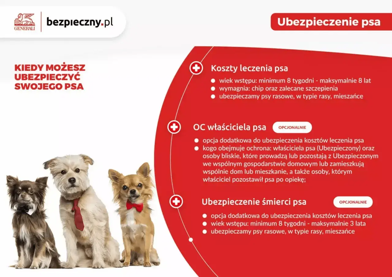 Trzy psy w eleganckich ubrankach (muszki, krawat) na białym tle, obok tekst o ubezpieczeniu psa.