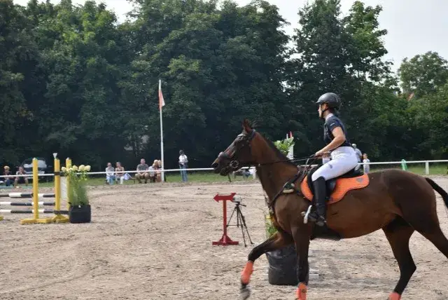 Stadnina koni Gniezno Kłeckoska