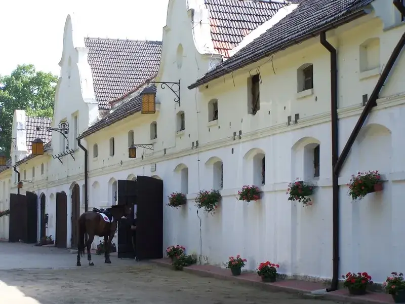 Zamek Moszna bryczka stadnina