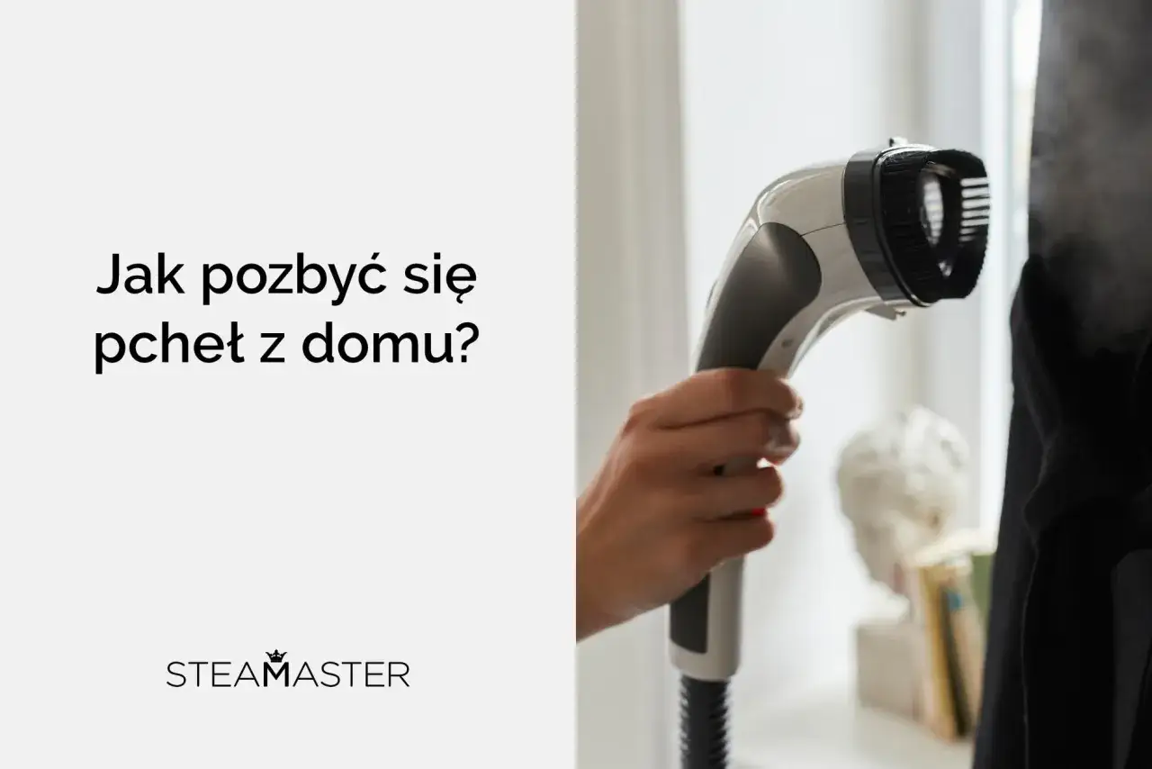 Jak pozbyć się pchły w domu? Parownica Steamaster usuwa niechciane owady i ich larwy z tkanin.