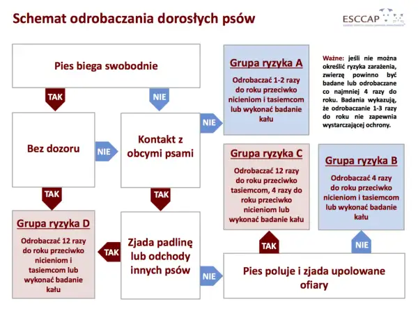 Schemat odrobaczania psów: jak często odrobaczać psa zależy od jego stylu życia. Pies wolno żyjący, mający kontakt z innymi psami lub zjadający padlinę, wymaga częstszego odrobaczania.