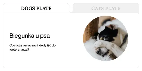 Chory piesek z zasłoniętymi oczami. Artykuł o biegunce u psa i kiedy należy udać się do weterynarza.