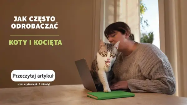 Kobieta z kotem na kolanach przy laptopie. Temat: jak często odrobaczać koty i kocięta.
