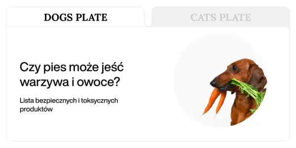 Jamnik z marchewką w pysku. Dowiedz się, jakie warzywa może jeść pies, by był zdrowy.