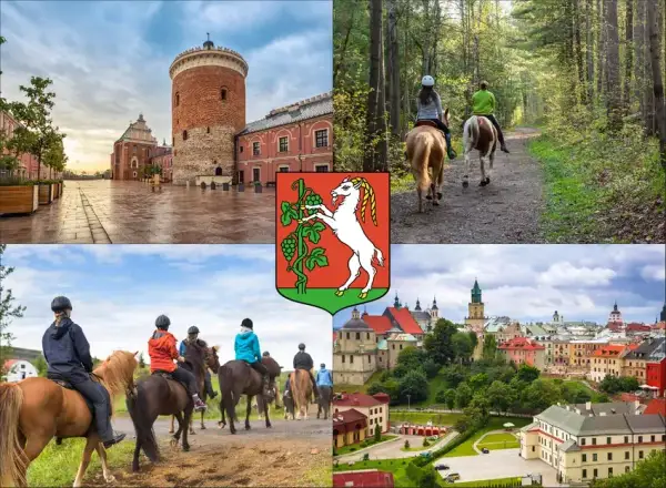 Stadniny koni Lublin: Usługi, ceny, porady znajdź idealne miejsce!