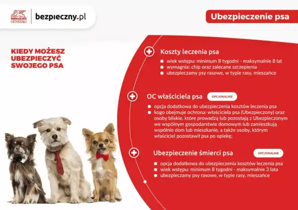 Trzy psy w eleganckich ubrankach (muszki, krawat) na białym tle, obok tekst o ubezpieczeniu psa.