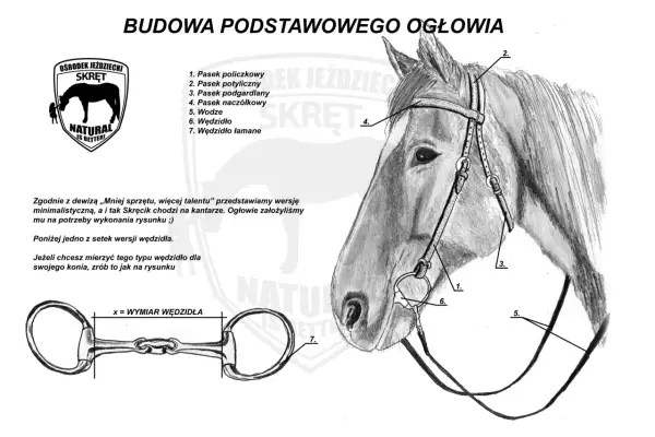 Ilustracja przedstawia budowę ogłowia, w tym różne części siodła i wędzidło.