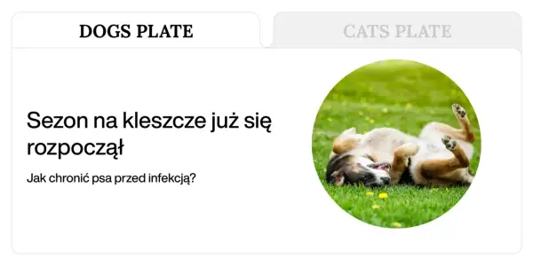Szczęśliwy pies na trawie, który pokazuje, czego nie lubią kleszcze. Sezon na kleszcze już się rozpoczął, jak chronić psa przed infekcją?