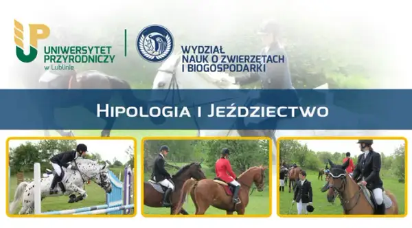 Studia hipologiczne w Poznaniu: Przewodnik dla pasjonatów koni