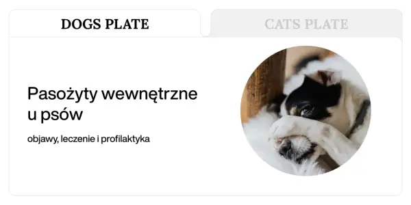 Czarno-biały piesek z łapką na oku, leżący na białym futerku.